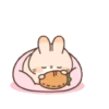 Cute Rabbit 24