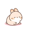 Cute Rabbit 25