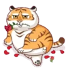 Tigre gruñon 1 21