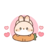 Cute Rabbit 26