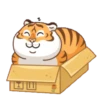 Tigre gruñon 1 22