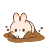 Cute Rabbit 27