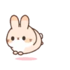 Cute Rabbit 28