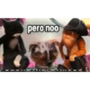💫Perrito de gato con botas❣️ 28