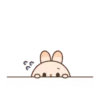 Cute Rabbit 29