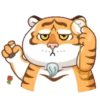Tigre gruñon 1 24