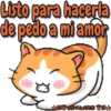 Gatitu amor tóxico ️ 30