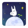Conejo espacial 24