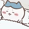 Chiikawa💞1🇵🇪Movi 5