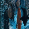 Coraline, (2009)🎬Mov 6