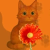Кошки 9 😺💞🇵🇪 6