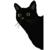 Cats meme GIF 6