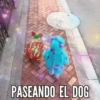 PASEANDO EL DOG