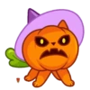 Calabaza 6 🎃 MOV. 🇲🇽 6