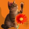 Кошки 9 😺💞🇵🇪 13