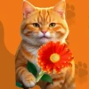 Кошки 9 😺💞🇵🇪 14