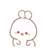 ?Cotton bunny 2 MOV ? 8