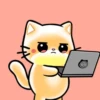 GATITOS HERMOSOS 5