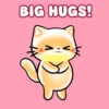 GATITOS HERMOSOS 6