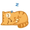 GATITOS HERMOSOS 7