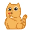 GATITOS HERMOSOS 8