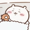 Chiikawa💞1🇵🇪Movi 17
