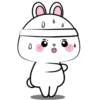 Vanilla Rabbit 6 MOV. 7