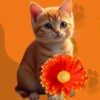 Кошки 9 😺💞🇵🇪 15