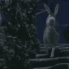 Shrek GIFs 21