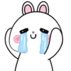 Vanilla Rabbit 6 MOV. 9
