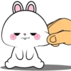 Vanilla Rabbit 6 MOV. 11