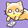 GATITOS HERMOSOS 13