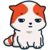 Marsey the cat 6