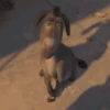 Shrek GIFs 19