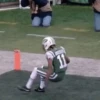 New York jets Mov 16