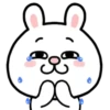 Rabbit 1 MOV. 10