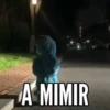 A MIMIR