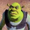 Shrek GIFs 6