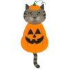 Halloween😼1🇵🇪Movi 17
