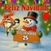 CALENDARIO ☃️ 2025 PARTE 2 9