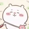 Chiikawa💞1🇵🇪Movi 19