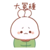 ?Cotton bunny 2 MOV ? 16