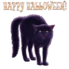 Halloween😼1🇵🇪Movi 21