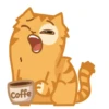GATITOS HERMOSOS 15