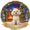 Navidad ✺2🇻🇪.mov 18