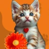 Кошки 9 😺💞🇵🇪 18
