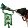 Sütaş 50. Yıl GIF ve Sticker Paketi 11