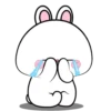 Vanilla Rabbit 6 MOV. 18