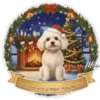 Navidad ✺2🇻🇪.mov 21
