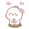 Cute Bunny 50 👩🏻‍🎨 Mov.1712 15